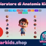 Esploratore di anatomia Kiddo