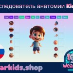 Исследователь анатомии Kiddo