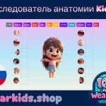 Исследователь анатомии Kiddo