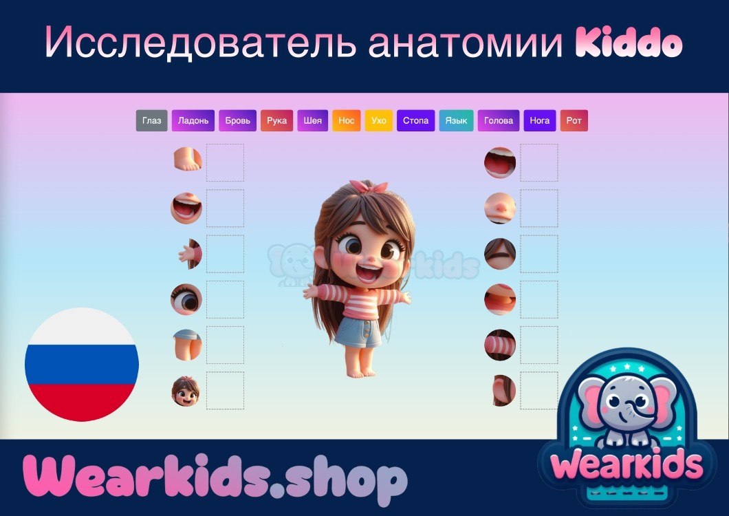 Исследователь анатомии Kiddo