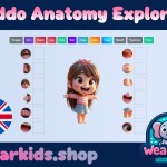 Kiddo Anatomy Explorer