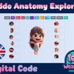 Kiddo Anatomía Explorador