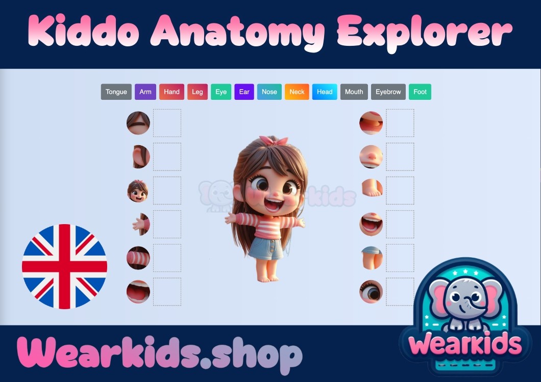 Kiddo Anatomy Explorer